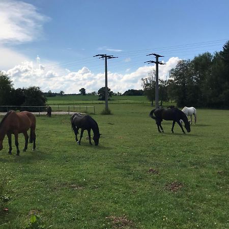 Pferdehof Dietzsch, Tittmoning Exteriör bild