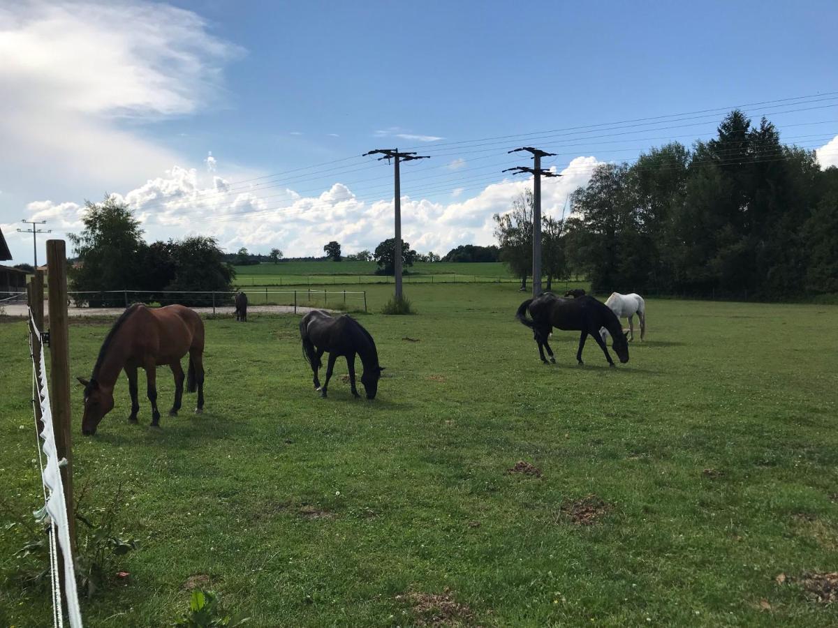 Pferdehof Dietzsch, Tittmoning Exteriör bild